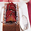 Poached Pears