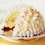 Baked Alaska