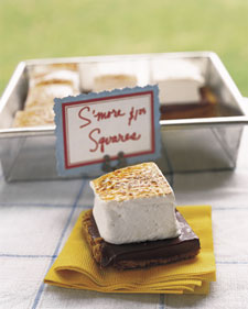 S'more Squares