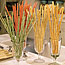 Quick Breadsticks
