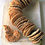 Sesame Rounds