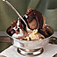 Rocky Road Sundae