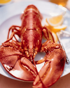 Boiled Maine Lobster