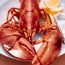 Boiled Maine Lobster