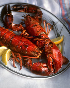 Grilled Lobster