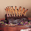 Rack of Venison