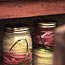 Quick Pickled Onions