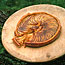 Apple Galette