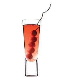 Berry Little Cocktail