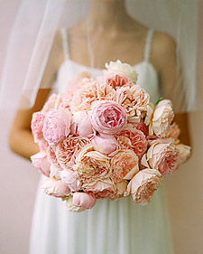 Who Had Peonies How Much Did They Cost Those Are