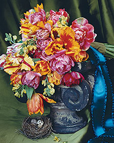 msw_fall_06_dutch_tulip_l
